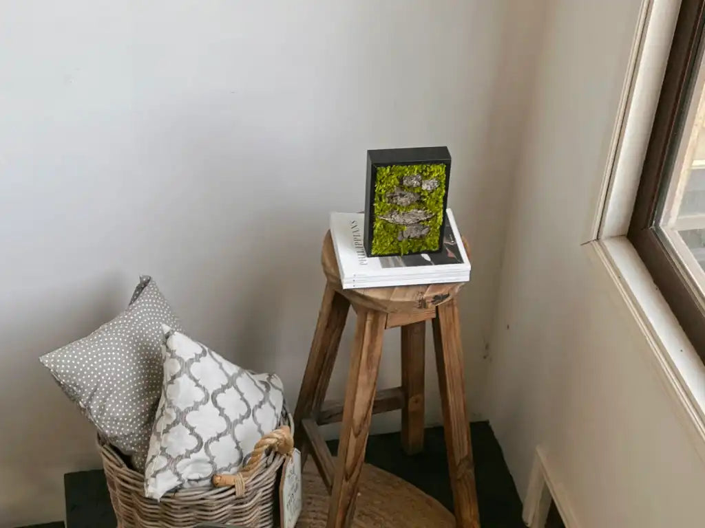 Cuadros decorativos de musgos preservados: Un toque de naturaleza en cada rincón