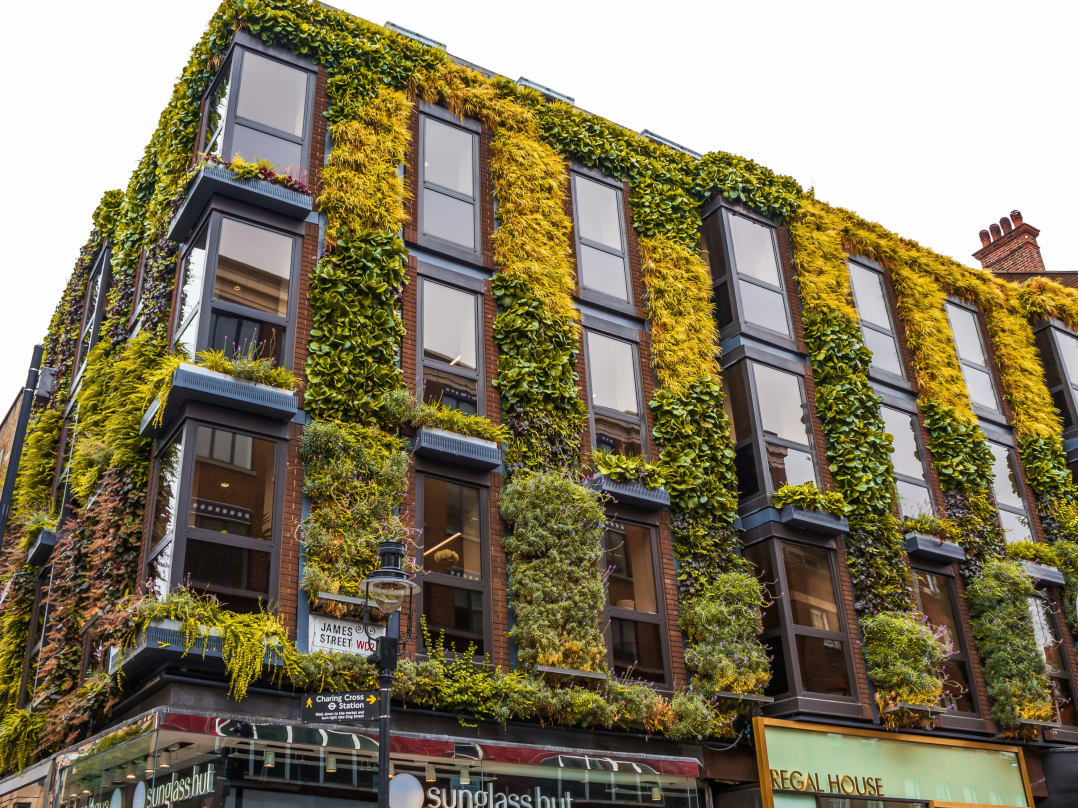 Paisajismo Vertical vs. Jardines Verticales: Entendiendo la Diferencia