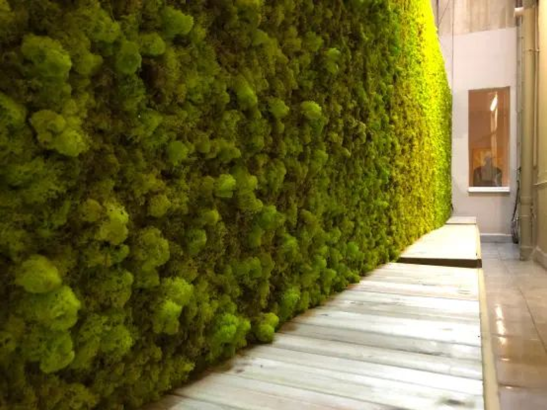 Explorando los tipos de jardines verticales: Del económico al sofisticado