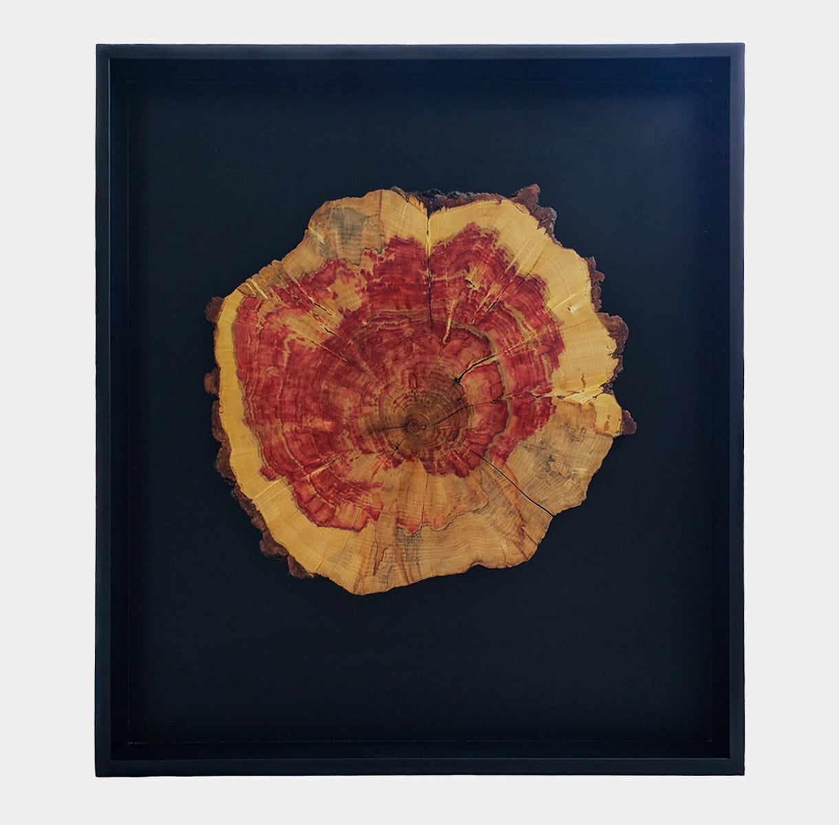 Cuadros para Quinchos