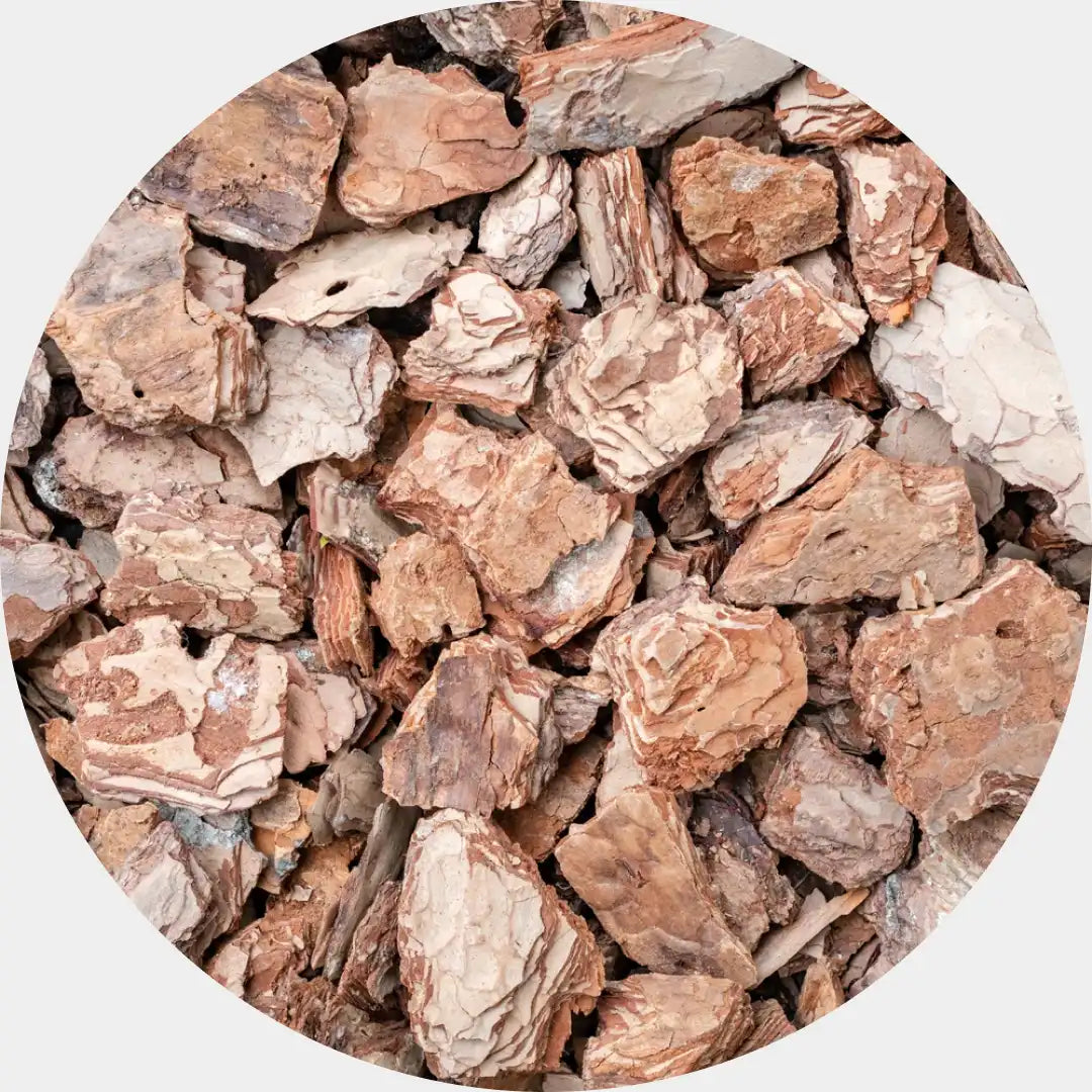 Kit DIY Cuadro de Musgo Pole Moss Preservado