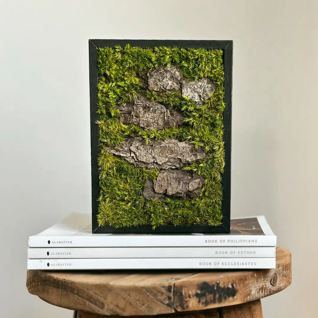 Cuadro de musgo preservado blanco con marco negro, colocado sobre una superficie de madera junto a libros apilados.