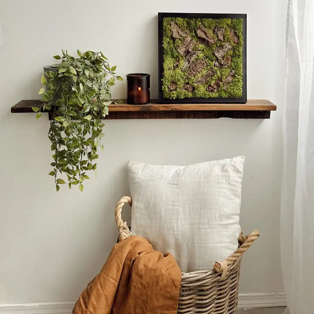 Cuadro de musgo preservado verde con fragmentos de corteza de árbol, creando un diseño rústico enmarcado en negro.