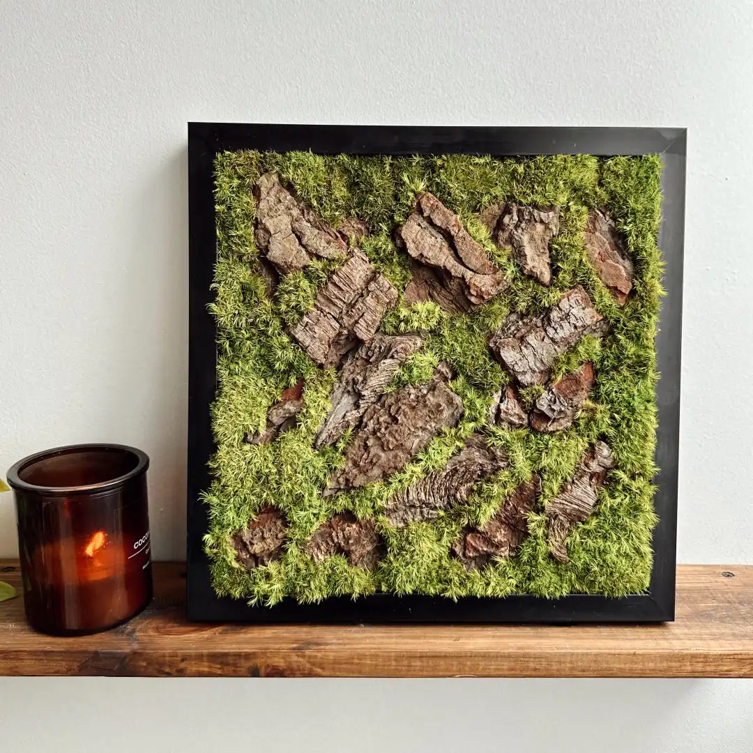 Cuadro de musgo preservado verde con fragmentos de corteza de árbol, enmarcado en negro y colocado sobre una estantería junto a una vela marrón.