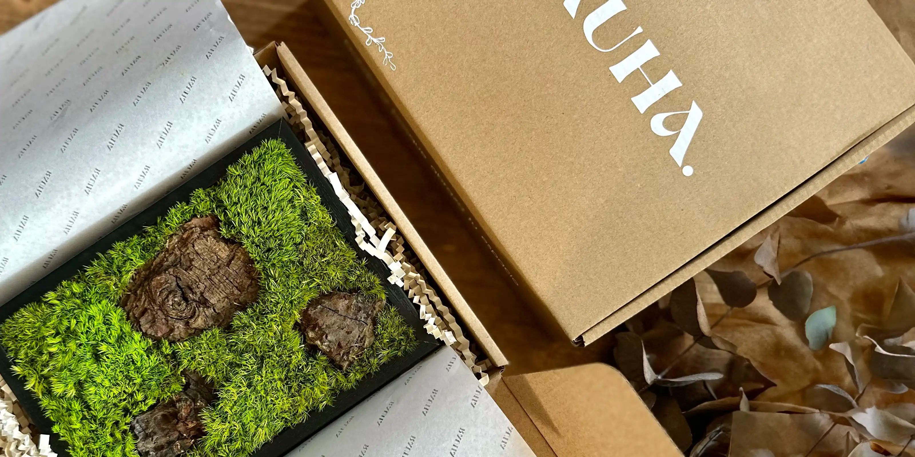 Cuadro de Musgo Preservado