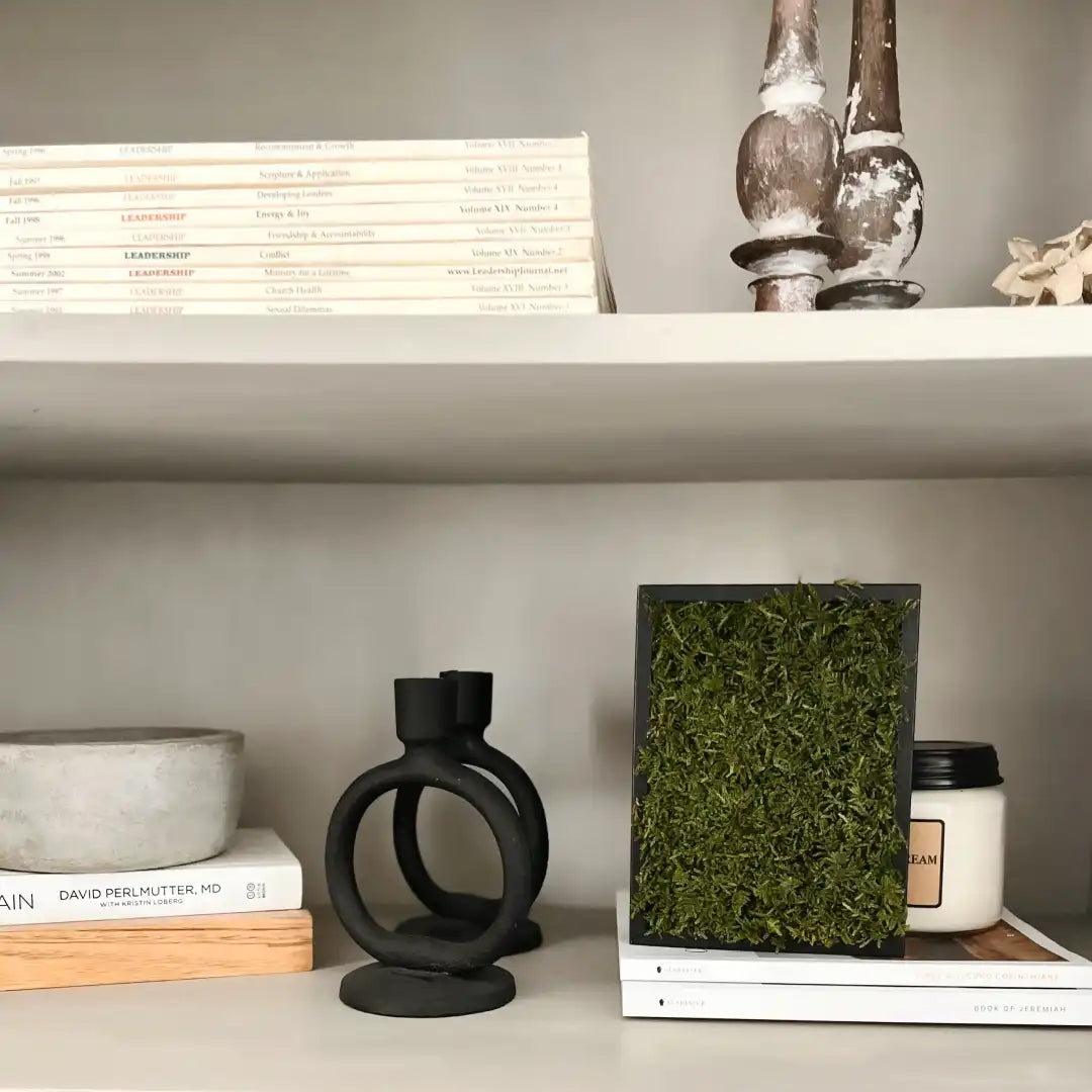 Cuadro de musgo preservado verde con marco negro, colocado sobre una estantería junto a artículos de decoración.