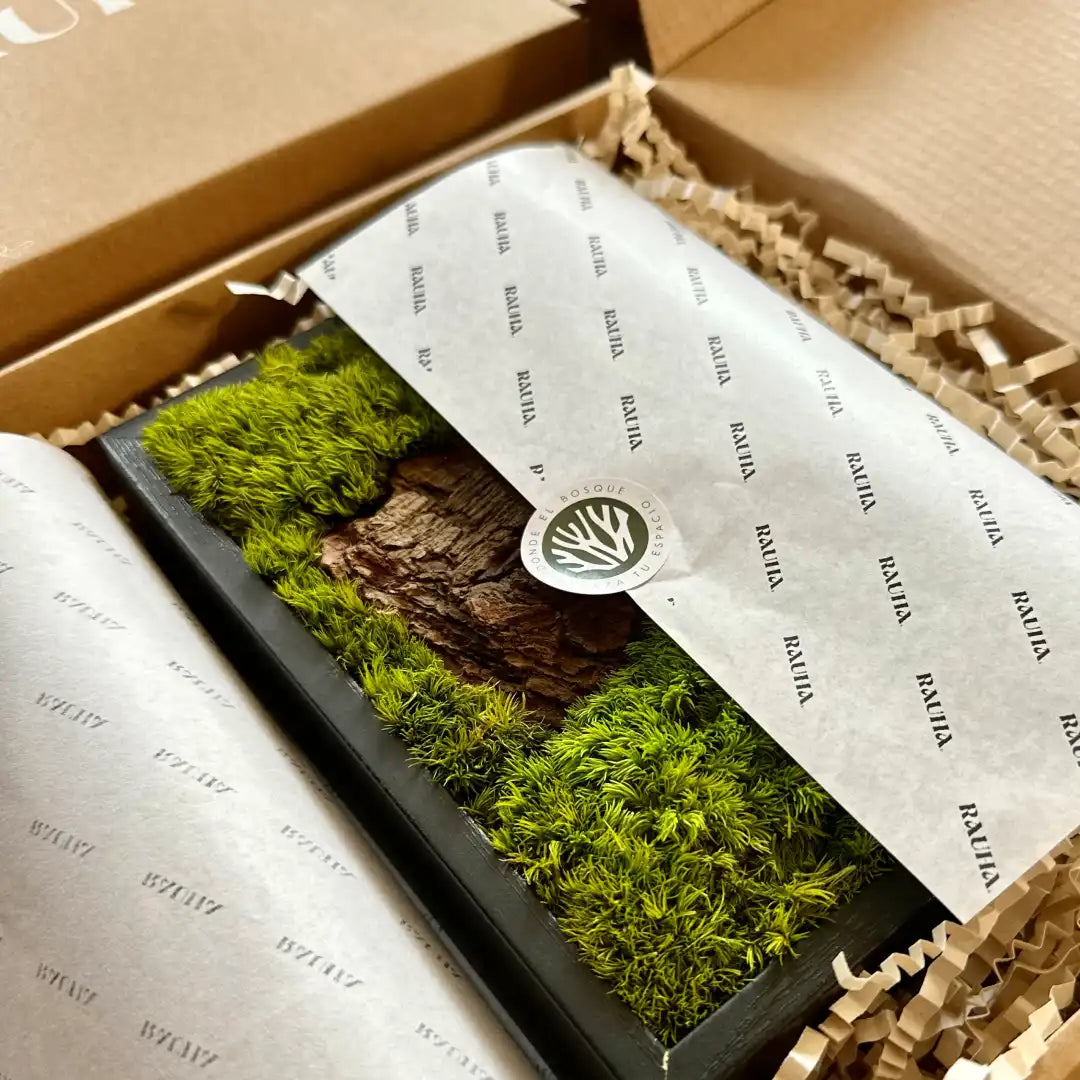 Caja de embalaje de Rauha abierta mostrando el contenido con papel de seda y relleno decorativo.