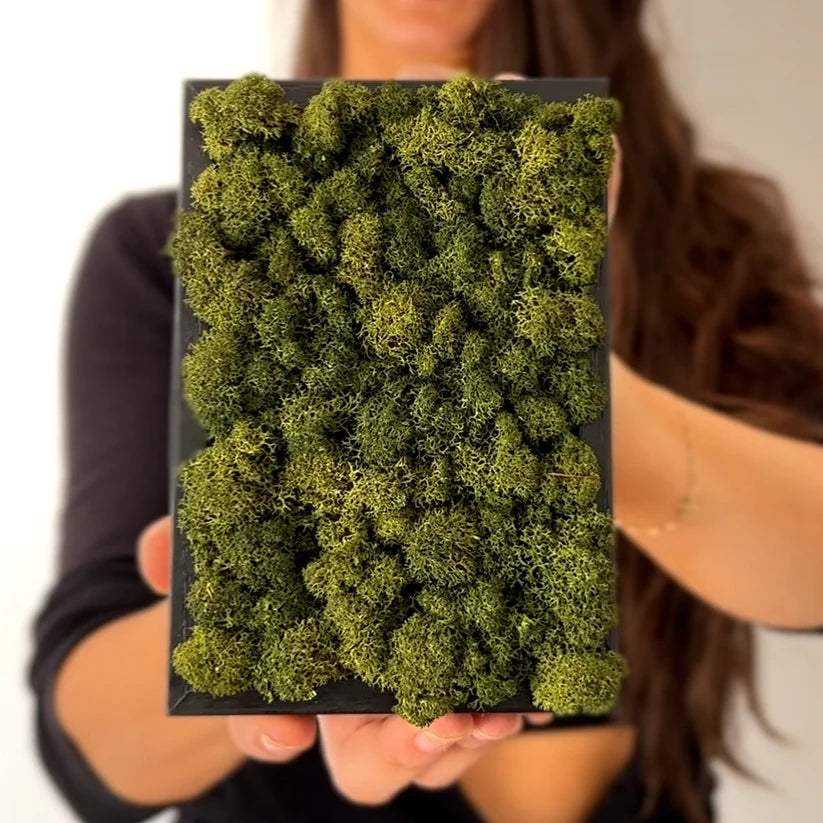 Mujer sosteniendo un cuadro de musgo preservado verde con ambas manos.