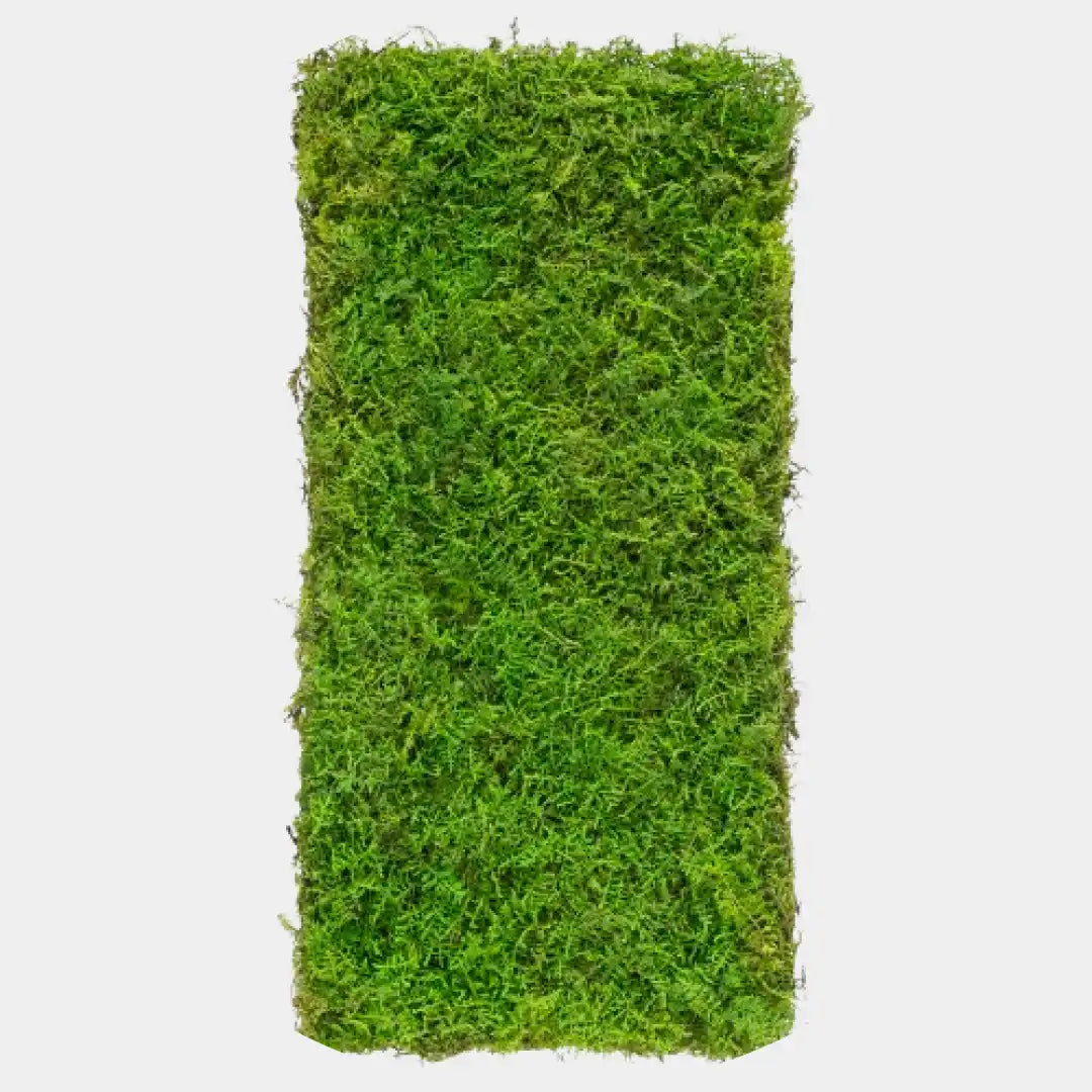 Alfombra rectangular de musgo preservado fern moss verde oscuro.