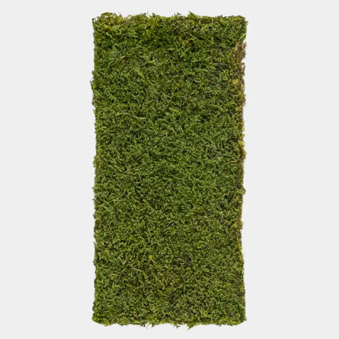 Alfombra rectangular de musgo preservado flat moss verde oscuro.