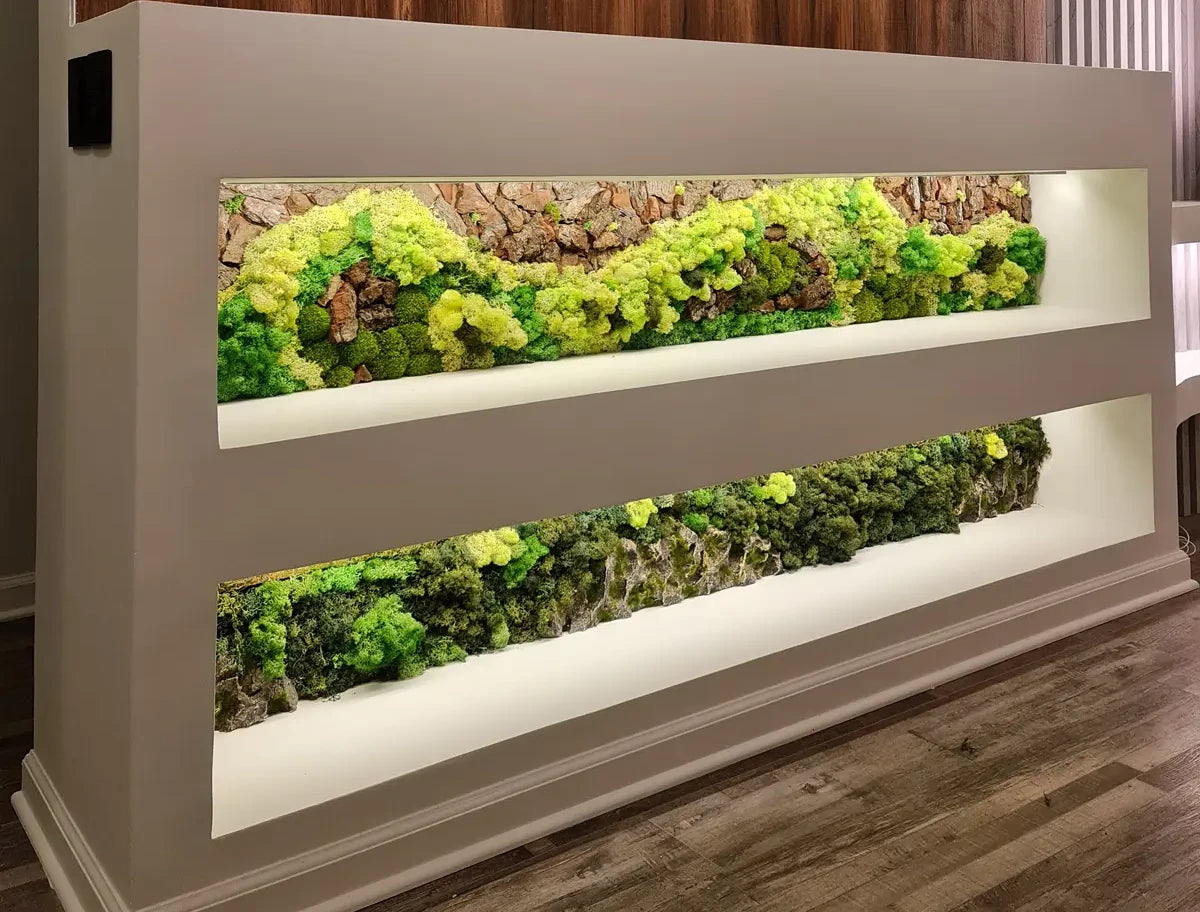 musgos preservados en decoracion rustica y moderna